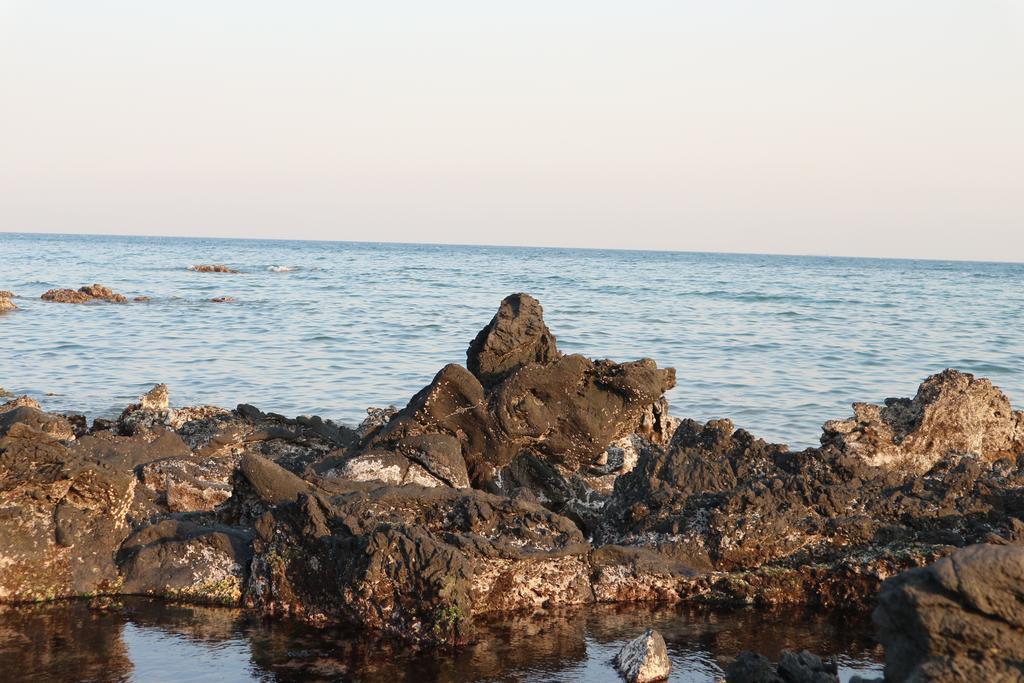 Blue Island Guesthouse ソギポ エクステリア 写真