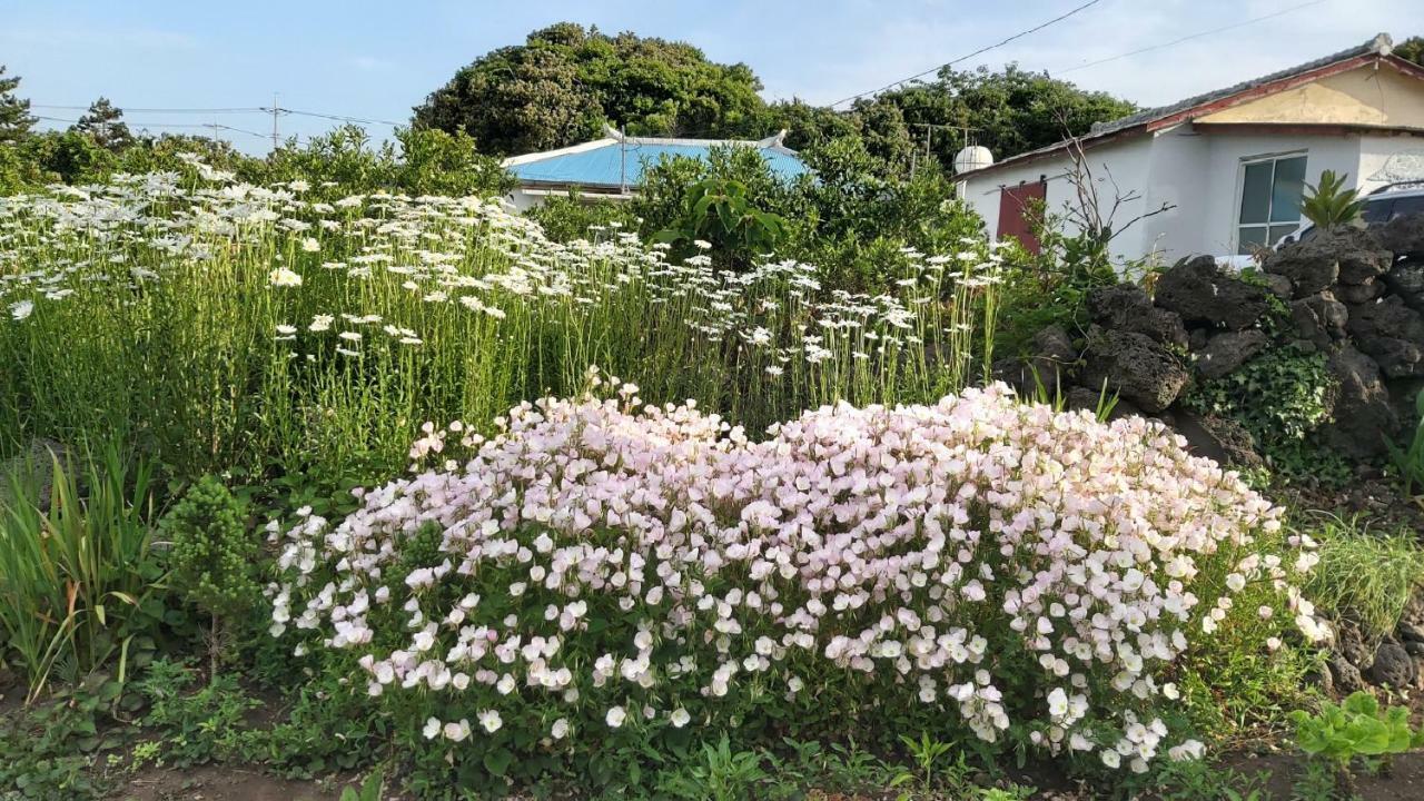 Blue Island Guesthouse ソギポ エクステリア 写真