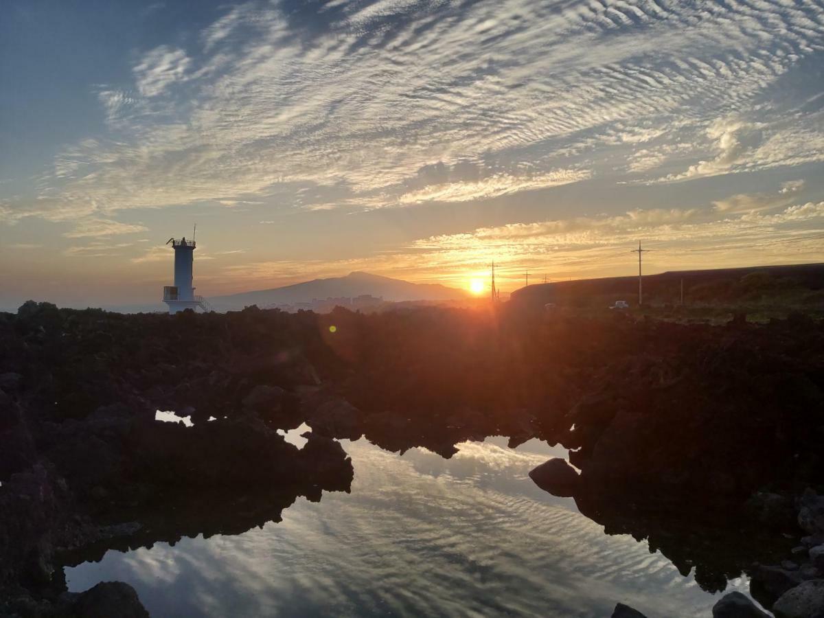 Blue Island Guesthouse ソギポ エクステリア 写真